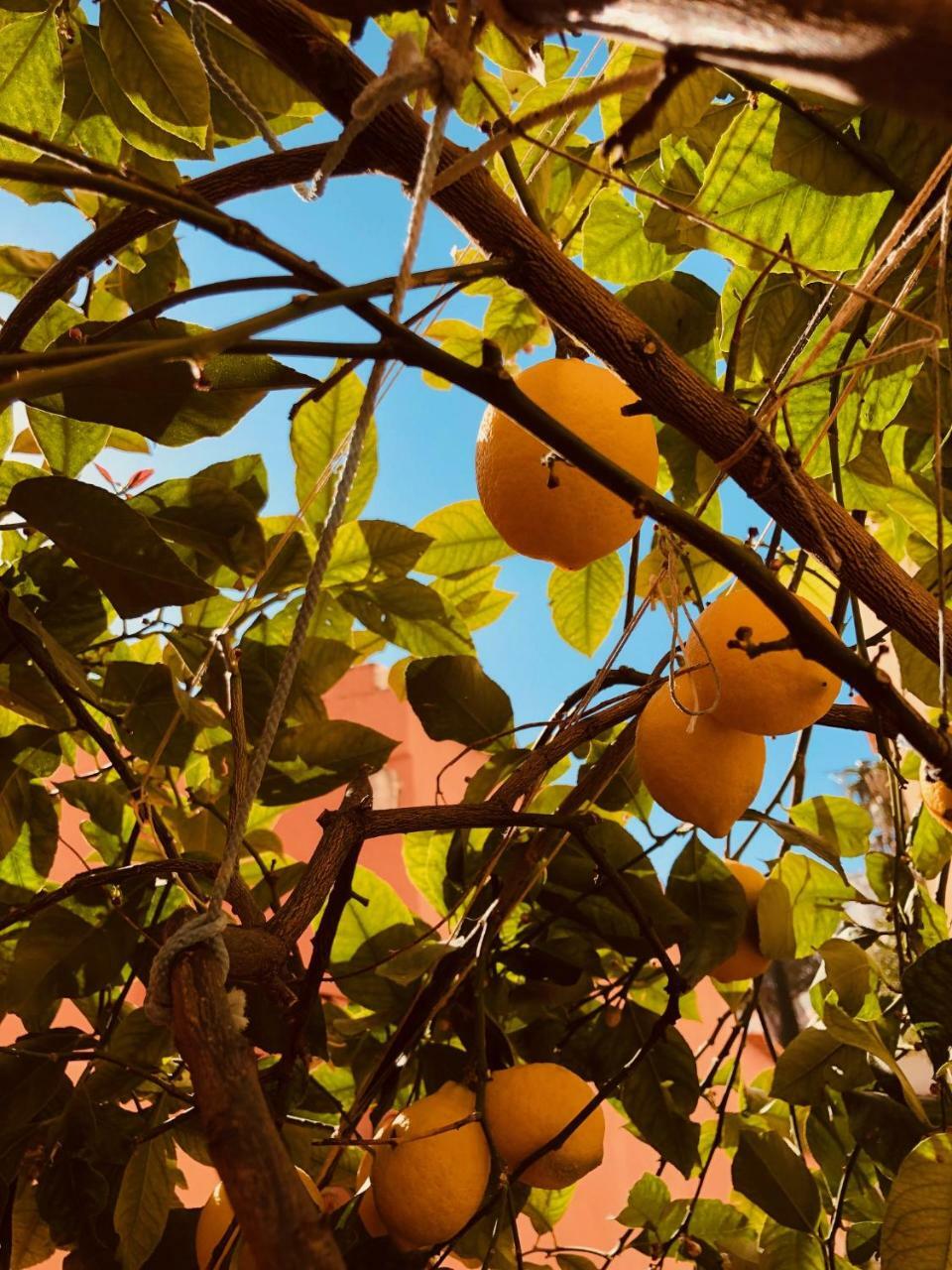 A Casa Dei Sasso Villa Positano Exterior foto